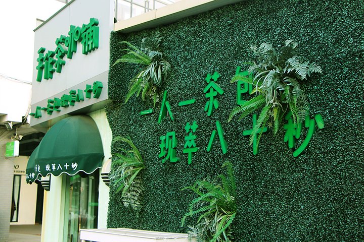 主題植物墻