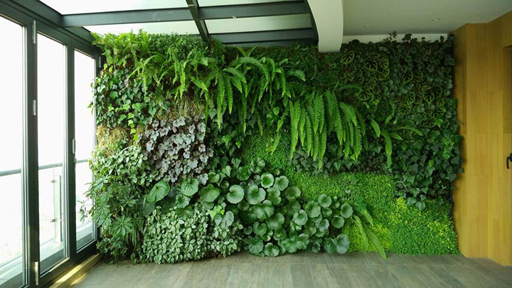 室內(nèi)墻面仿真植物裝飾